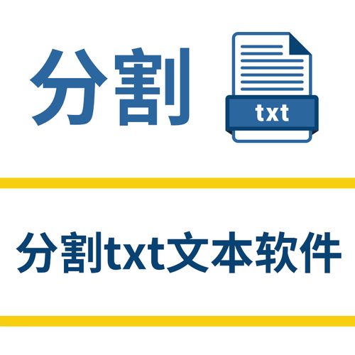 TXT文本分割器免费版