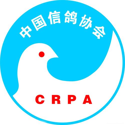 中国信鸽直播3G