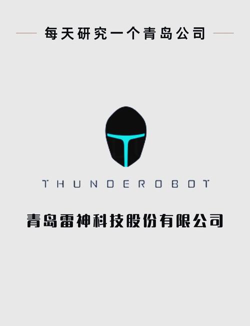 雷神NN语音电脑端免费安装