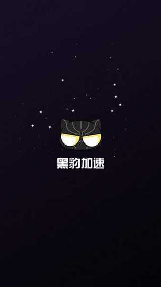 黑豹加速器官网版游戏截图