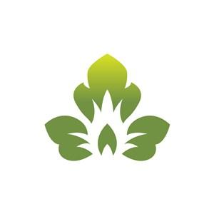 花倚小说绿色图标