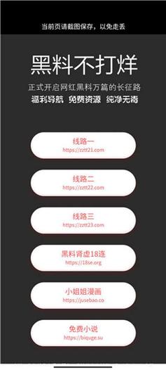 黑料不打烊