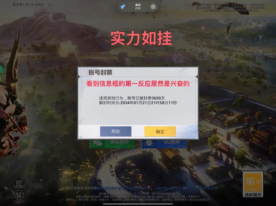 和平精英解封器