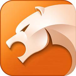 猎豹浏览器app安卓版