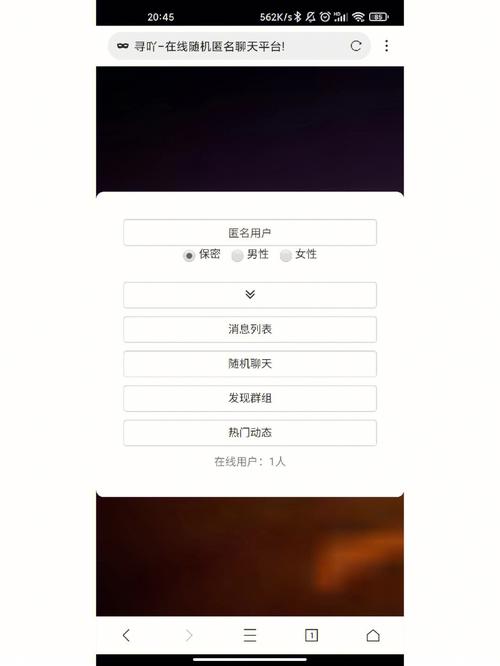 nmlia匿名聊天官方网站入口