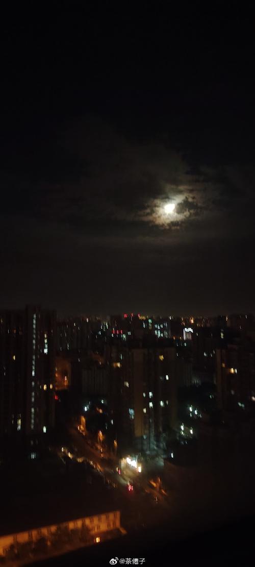 月夜视频正版
