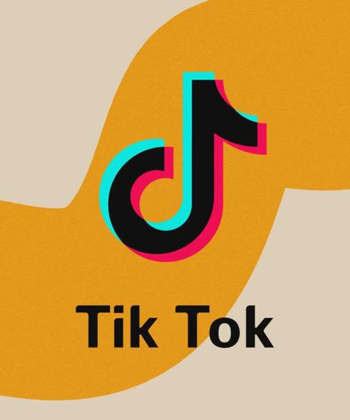 tiktok色板免费破解版橙色版图标