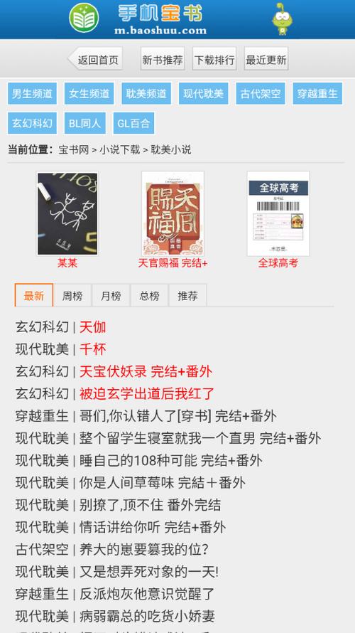 宝书网小说txt免费下载